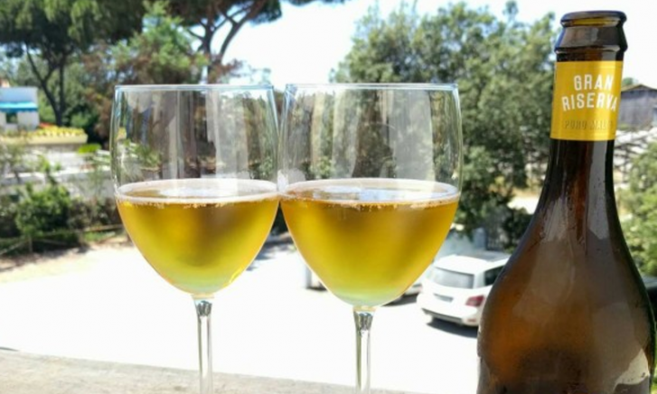 Peroni Gran Riserva Puro Malto